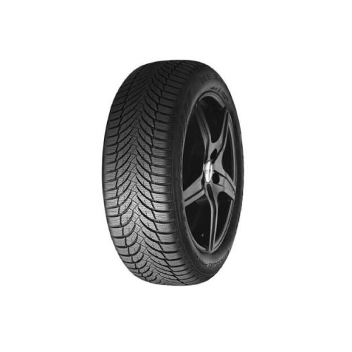 NEXEN WINGUARD SNOW 195/55 R16 91H G3 WH21